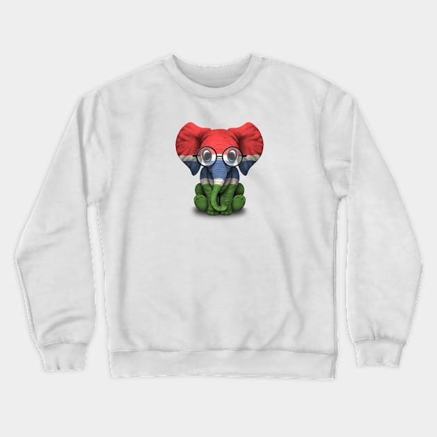 Baby Elephant with Glasses and Gambian Flag Crewneck Sweatshirt by jeffbartels